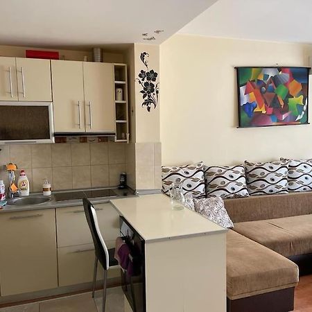 Apartament Cu Un Dormitor / One Bedroom Apartment Satu Mare Exteriör bild