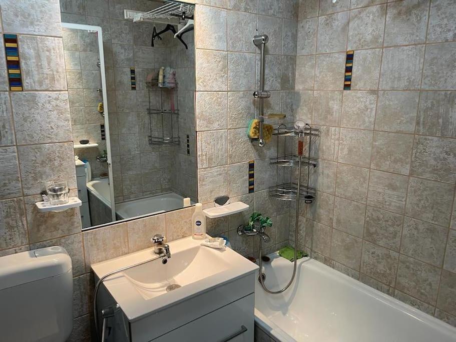 Apartament Cu Un Dormitor / One Bedroom Apartment Satu Mare Exteriör bild