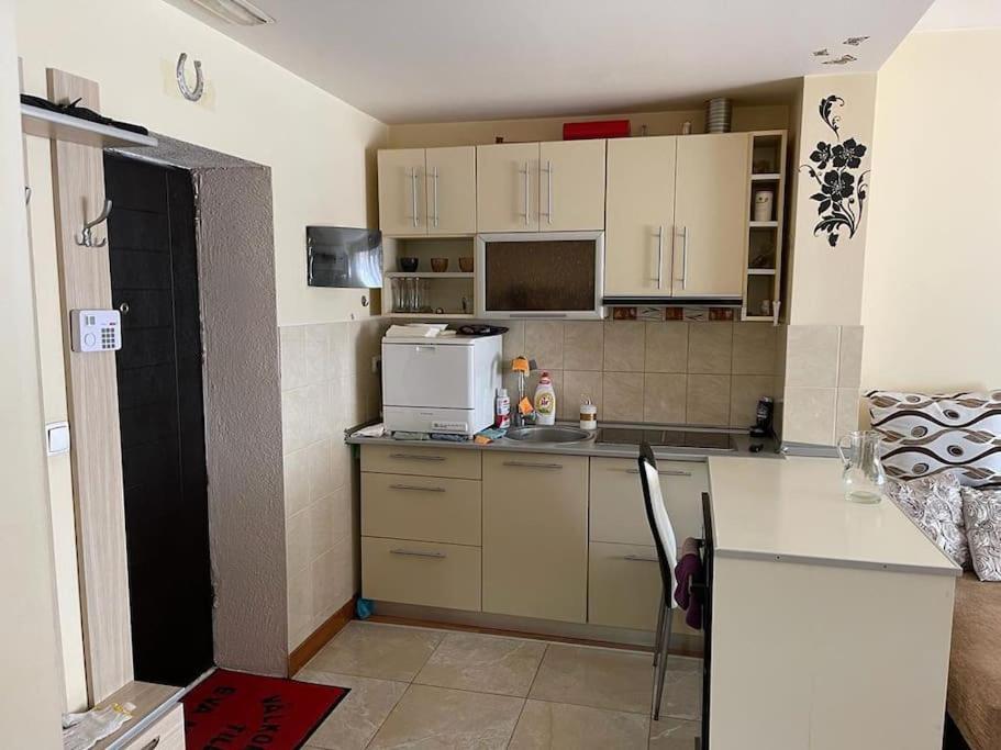 Apartament Cu Un Dormitor / One Bedroom Apartment Satu Mare Exteriör bild