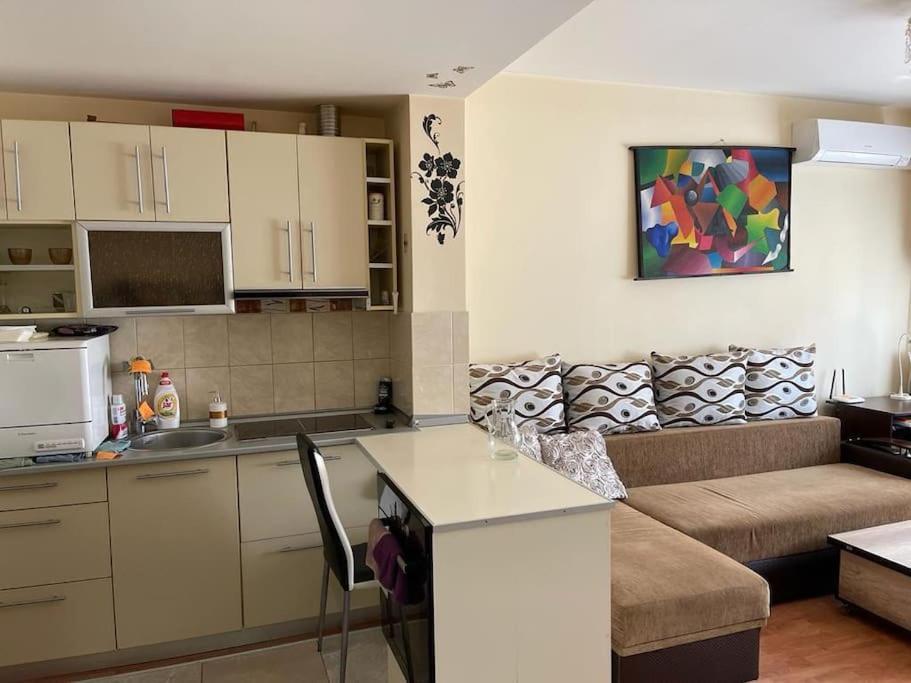 Apartament Cu Un Dormitor / One Bedroom Apartment Satu Mare Exteriör bild